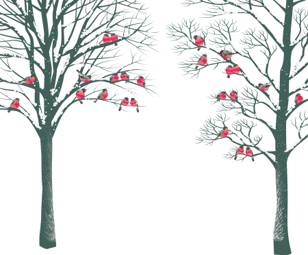 Деревья зимой для детей