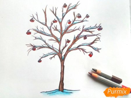 Рисование дерева рябины
