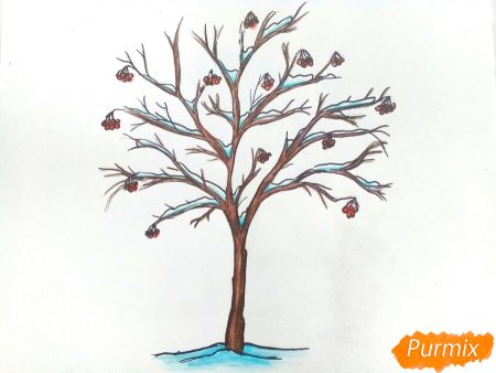 Карточки для детей с названиями деревья рябина