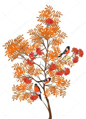 Дерево рябина мультяшное