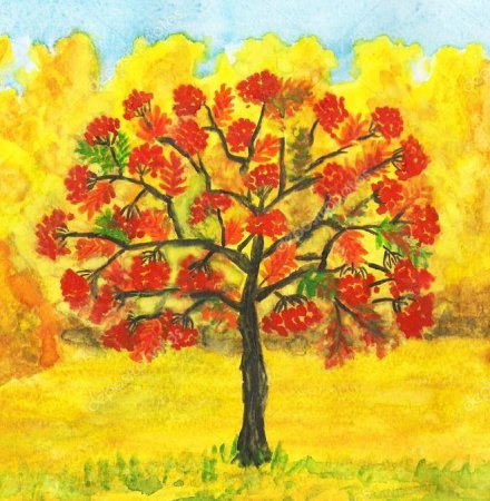 Рябина для детей дошкольников