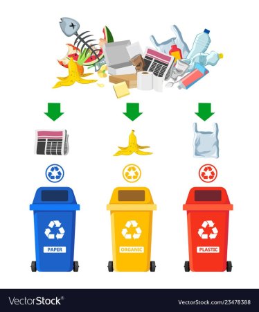 Сортировка мусора для детей