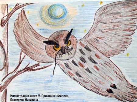 Пришвин Филин