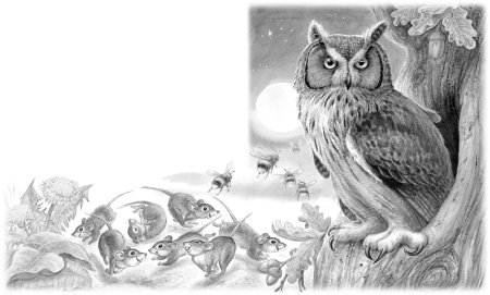 Сова Бианки раскраска для детей