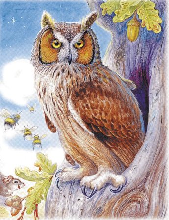 Сказка Сова Бианки