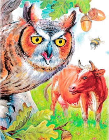 Сказка Виталия Бианки Сова