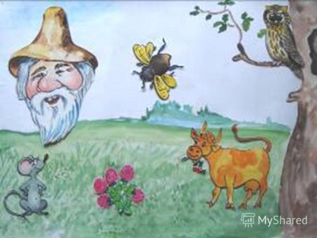 Виталий Бианки Сова