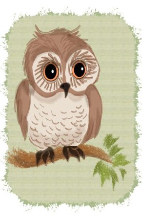 Н Сладков про сову