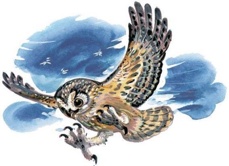 Сказка Сова Виталия Бинки