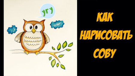 Сладков Дрозд и Сова