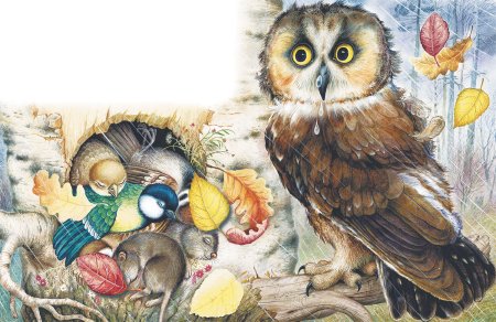 Виталий Бианки Сова 2 класс