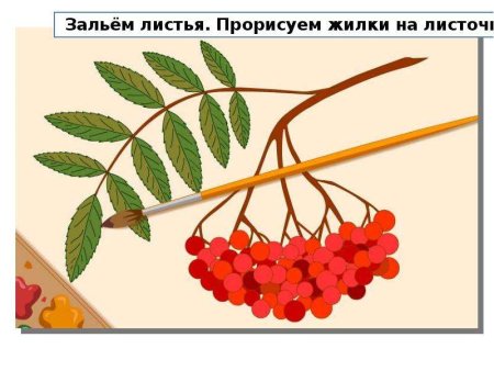 Рисуем кисть рябины