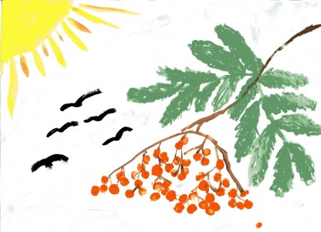 Рябина для рисования детям