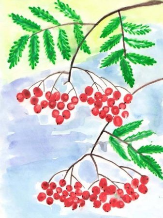 Кисть Рябинки гроздь Калинки рисование