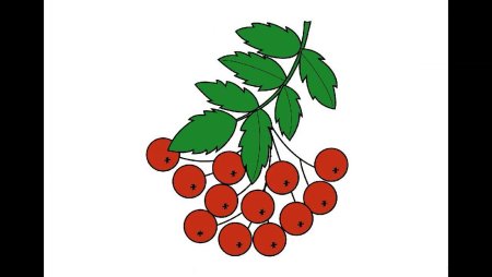 Ветка рябины рисование