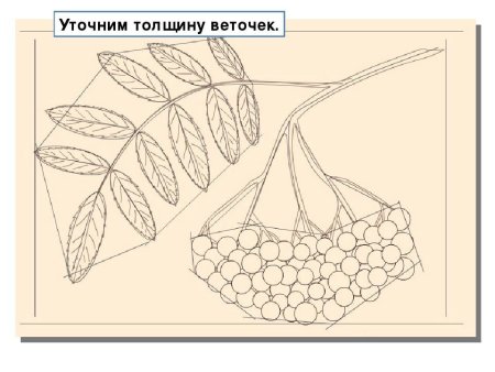Рисуем кисть рябины
