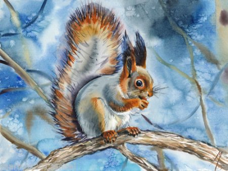 Белочка гуашью