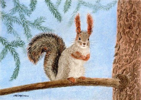 Рисование белка на ветке