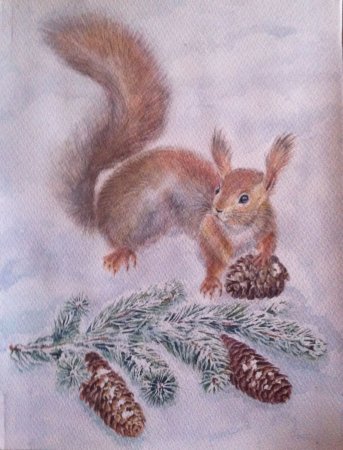 Белка зима живопись