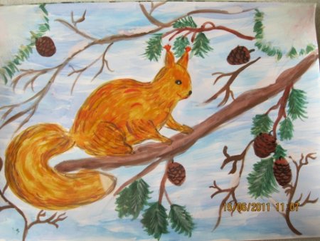 Рисование Белочка в подготовительной группе