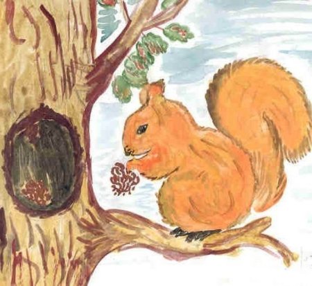 Белка рисование для детей