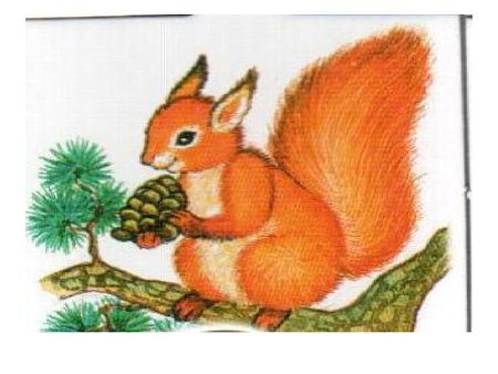 Осень белка рисунок для детей