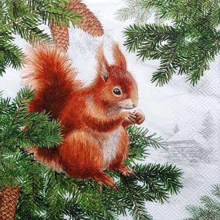 Сказочный зимний лес с белочками