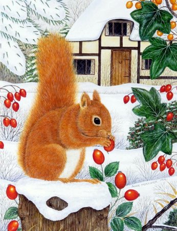 Рисование белка зимой