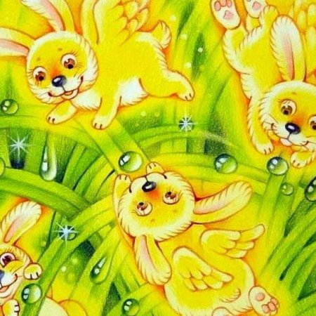 Солнечный зайчик