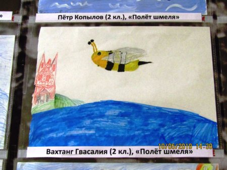 Пчела иллюстрировано