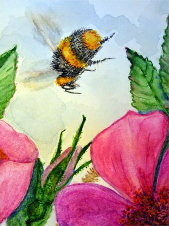 Полет шмеля сказка о царе Салтане