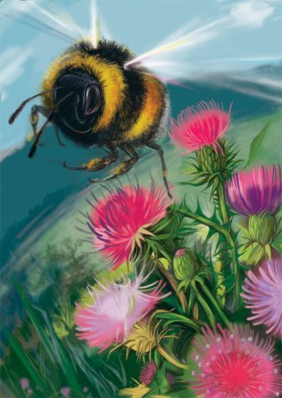 Пчела в полете рисунок