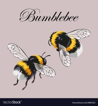 Рисуем пчелку с детьми