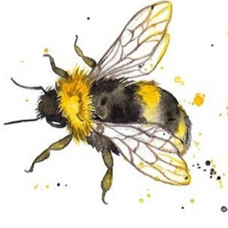 Пчела арт карандашом