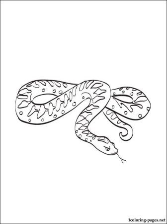Гадюка обыкновенная раскраска
