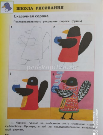 Этапы рисования сороки белобоки