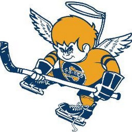 Хоккейные логотипы