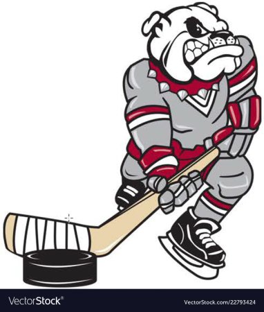 Хоккеист мультяшный