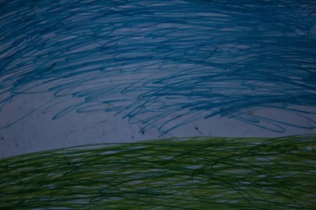 Балтийское море рисунки детей