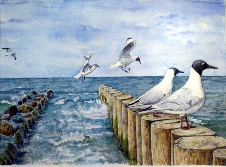 Картины Балтийского моря дюны