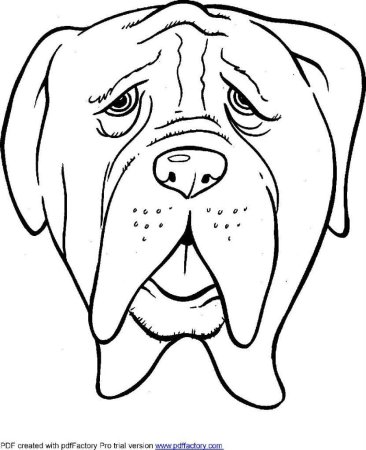 Раскраска "собаки"