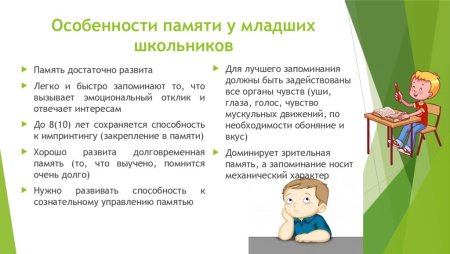 Характеристики памяти младшего школьник: