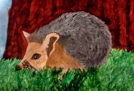 Нарисовать ушастого ежика