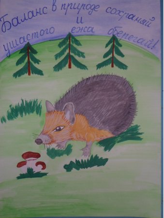 Еж Ушастый рисунок детский