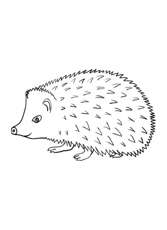 Раскраска Ёжик