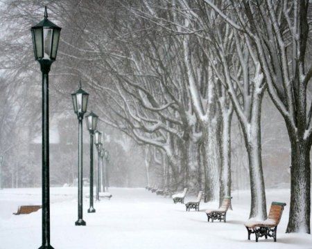 Зимний пейзаж сюжетная композиция