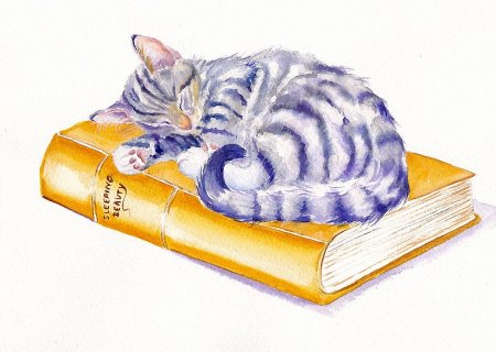 Спящий кот иллюстрация