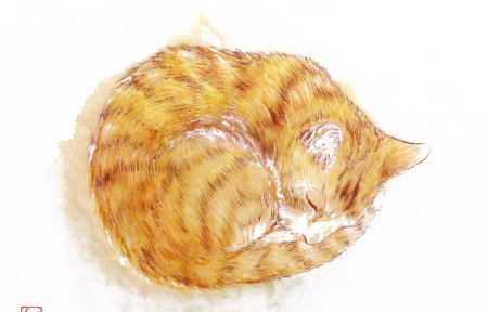 Кошка свернулась клубком