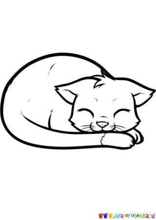 Рисунок кошки для срисовки