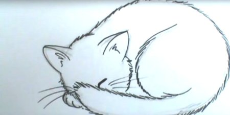 Спящий кот рисунок карандашом